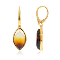 Baltic Amber Silver Earrings