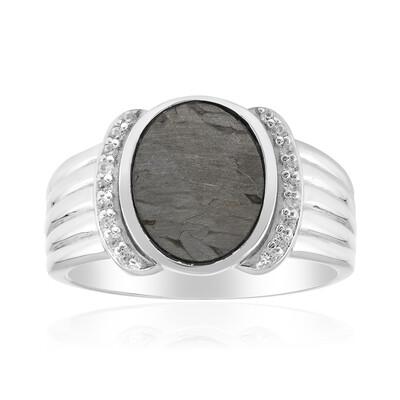 Aletai-Meteorite Silver Ring