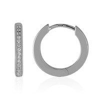 Zircon Silver Earrings