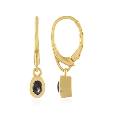 Black Star Sapphire Silver Earrings (MONOSONO COLLECTION)