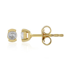 Zircon Silver Earrings (Adela Silber)