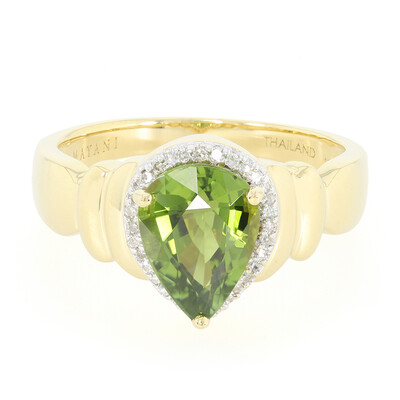 18K Paraiba Tourmaline Gold Ring (AMAYANI)