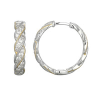 Zircon Silver Earrings