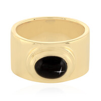 Indian star diopside Silver Ring