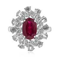 14K AAA Mozambique Ruby Gold Ring (CIRARI)