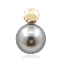 9K Tahitian Pearl Gold Pendant (de Melo)