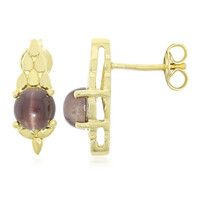 Cat´s Eye Scapolite Silver Earrings