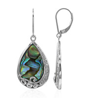 Abalone Shell Silver Earrings (Art of Nature)