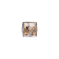 Petrified Palm Wood Silver Ring
