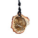 Petrified Wood Necklace