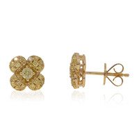 14K SI2 Yellow Diamond Gold Earrings (CIRARI)