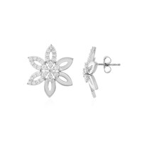 Zircon Silver Earrings