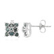 Fancy Diamond Silver Earrings