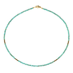 Arizona Turquoise Silver Necklace (Riya)
