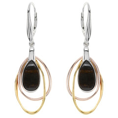 Petrified Wood Silver Earrings