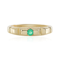 9K Colombian Emerald Gold Ring (de Melo)