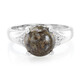 Dinosaur Bone Silver Ring