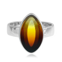 Baltic Amber Silver Ring