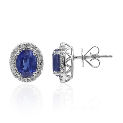 14K Kyanite Gold Earrings (CIRARI)
