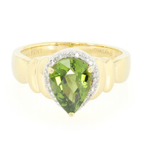 18K Paraiba Tourmaline Gold Ring (AMAYANI)