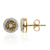 PK (I) Diamond Silver Earrings