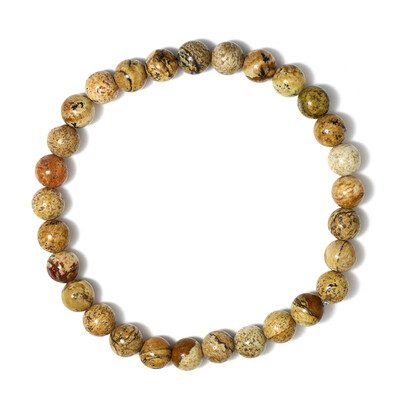 Picture Jasper other Bracelet
