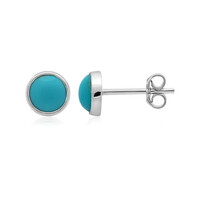 Turquoise Silver Earrings