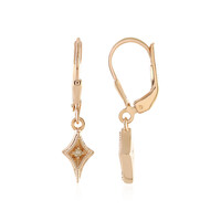PK (J) Diamond Silver Earrings