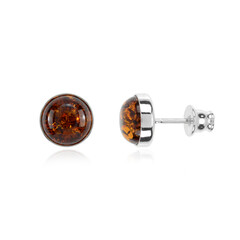 Baltic Amber Silver Earrings