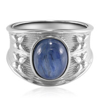 Kyanite Silver Ring (TPC)