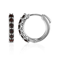 Garnet Silver Earrings