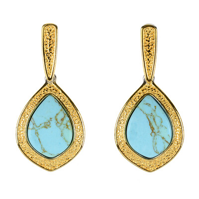 Turquoise Silver Earrings (dagen)