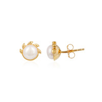Cream Freshwater Pearl Silver Earrings