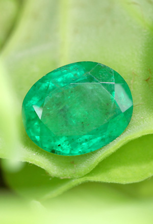 Bahia Emerald