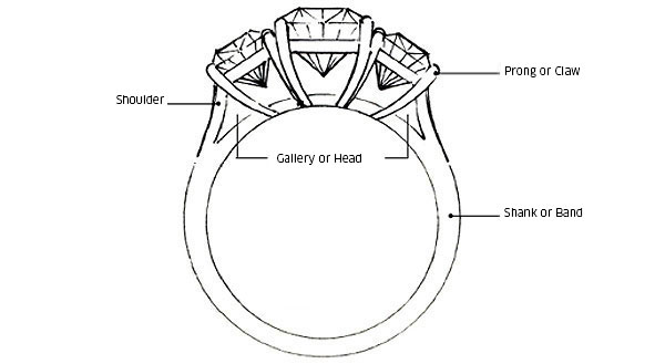 Parts of Rings